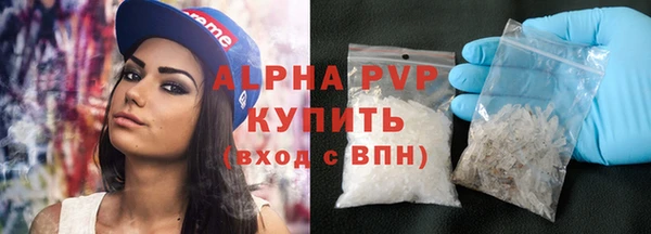 спиды Михайлов