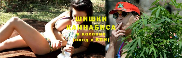 ГАЛЛЮЦИНОГЕННЫЕ ГРИБЫ Осинники