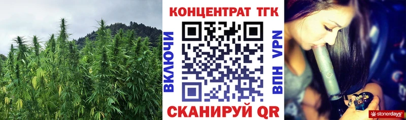 shop как зайти  магазин  наркотиков  Елизаветинская  ТГК вейп  omg ТОР 