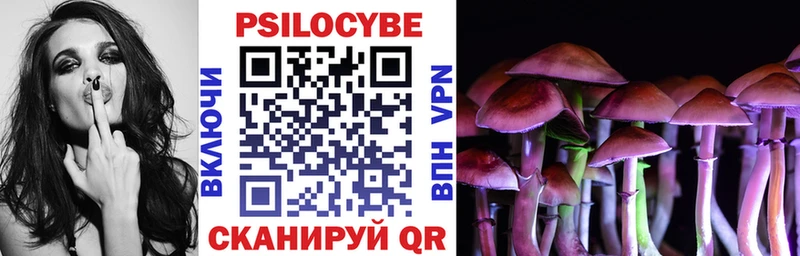 магазин продажи   Елизаветинская  Псилоцибиновые грибы Psilocybine cubensis 